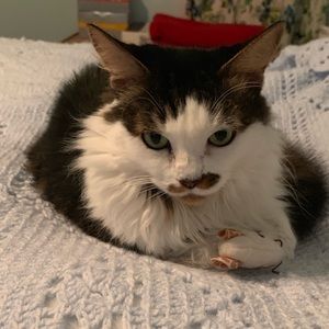 Meet your Posher, Heather